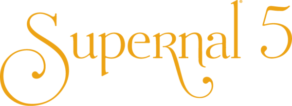 supernal 5 motor hospital bed electric